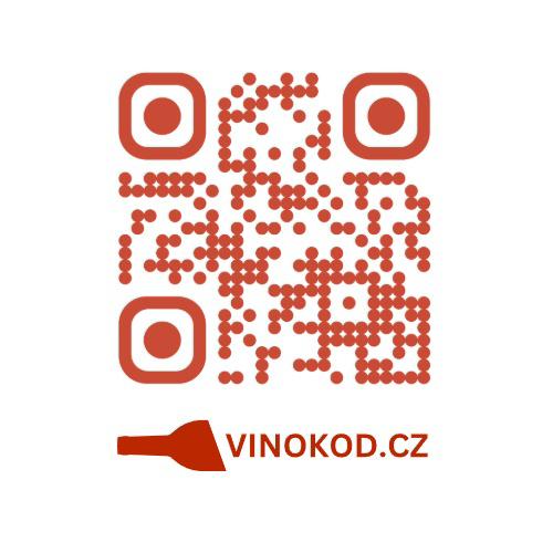 Vinokod.cz Logo