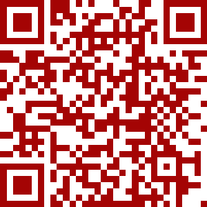 QR Code Style 2