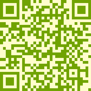 QR Code Style 4